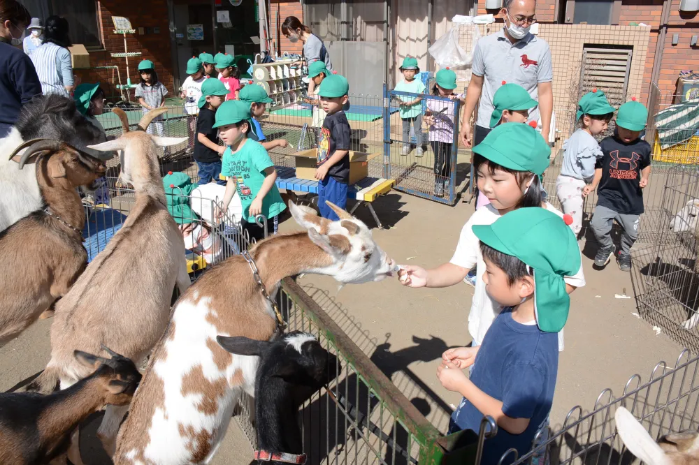 移動動物園